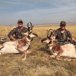 Wyoming antelope