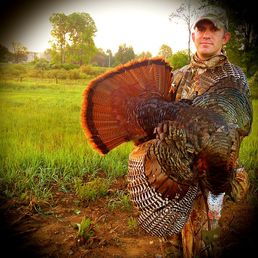 Whitetail properties gobbler