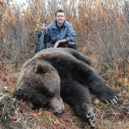 Grizzly alaska 2011 465