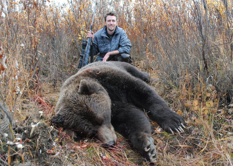 Grizzly alaska 2011 465