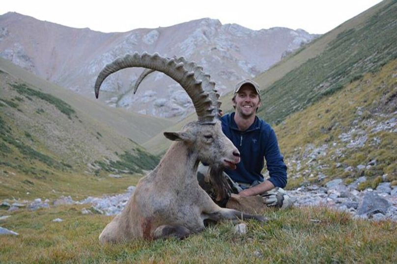Kyrg ibex