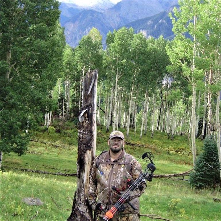 Colorado elk