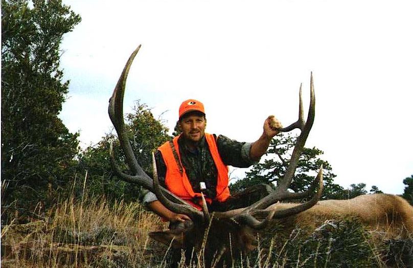 Elk1