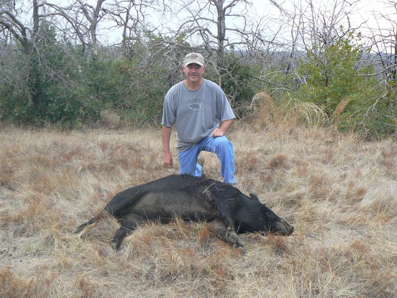 Gary mcclure pig 3
