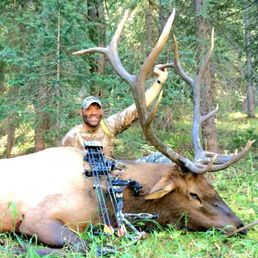 2014 elk