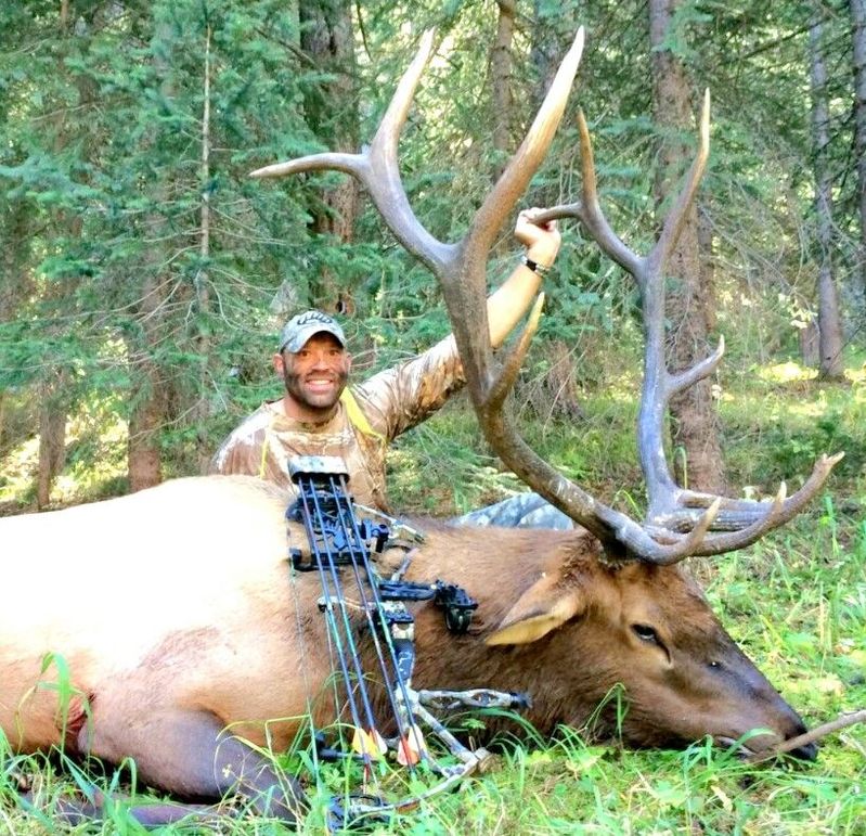 2014 elk