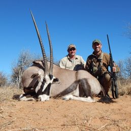 Gemsbok