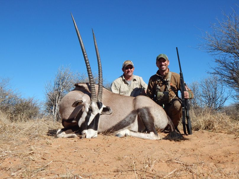 Gemsbok