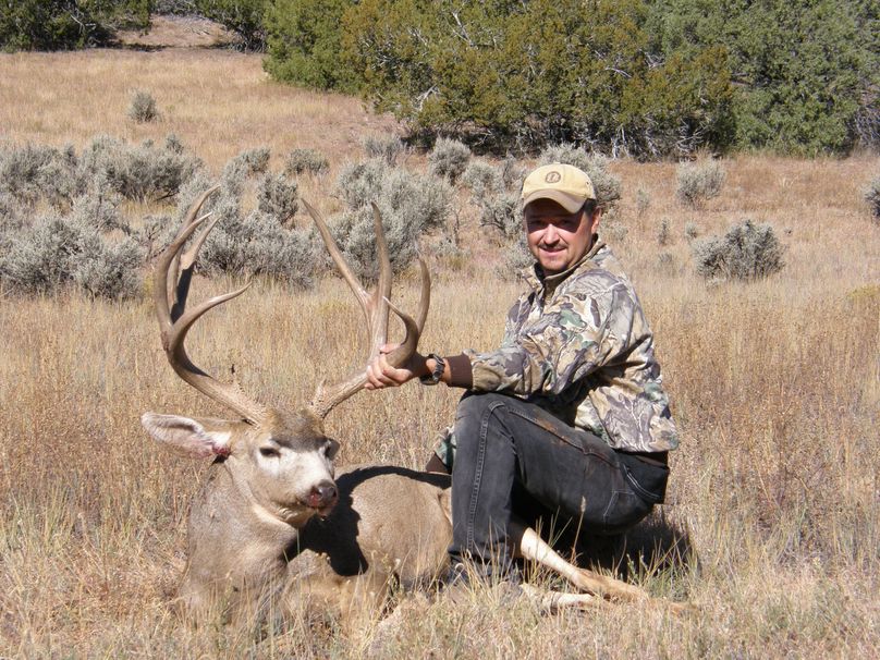 Craig_204_Mule deer - Craig Sanchez