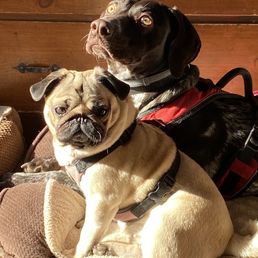 Cocoa and Via  - Heather Kent