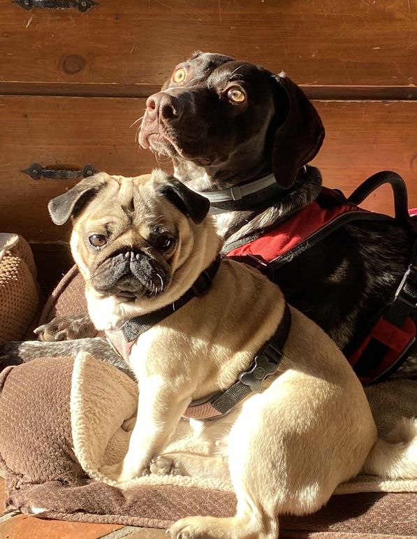 Cocoa and Via  - Heather Kent