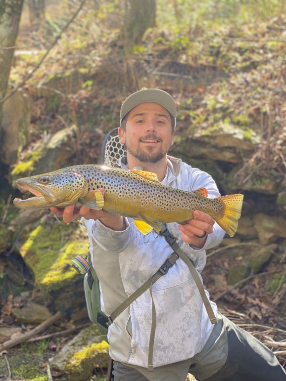 174967 - Mason Holeman