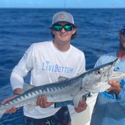 2D8B498C-8EF6-4C7C-8199-7FAF5F4126FA