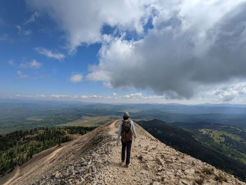 F44B0D9C-663C-45D6-88F7-771CE4DE4D58 - Taylor Nitterhouse