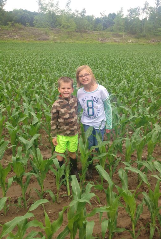 Kids corn field