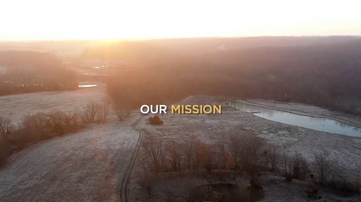 yCoF1dTArSv6EwbNrDI0fi96jDI9cSqbz9NOmPYO