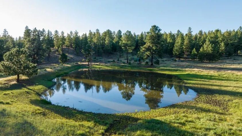 Dream-New-Mexico-Ranch-3