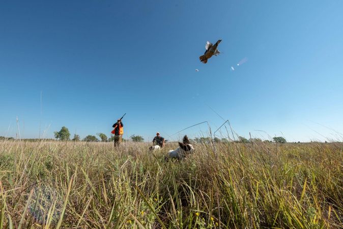 waterfowl hunting in the west