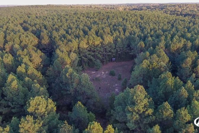 Texas Hunting Land