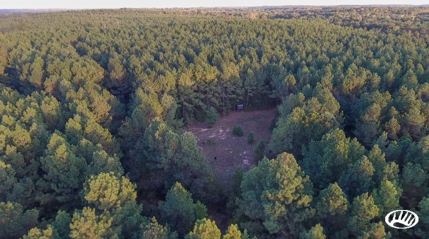 Texas Hunting Land