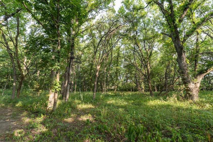 Wisconsin-Land-For-Sale-3