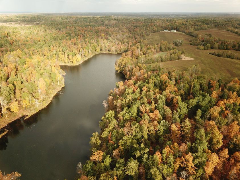 How does the amount of daylight affect a deer’s behavior?