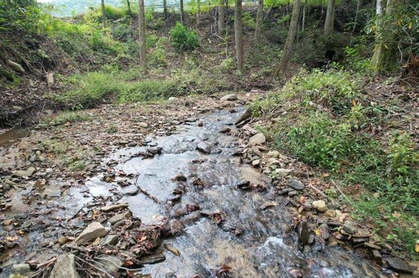 11-23 Acres of Timber and Rolling Hills in McDowell County