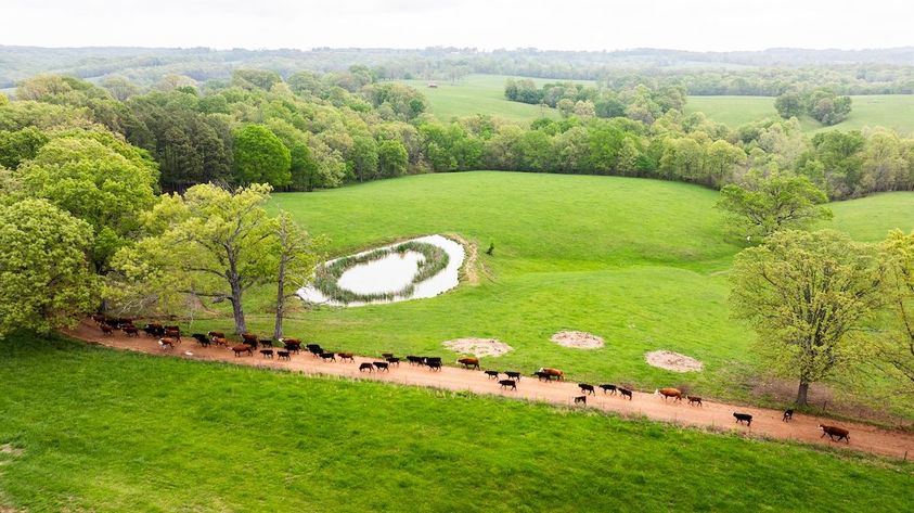 Profitable-Pastures-5