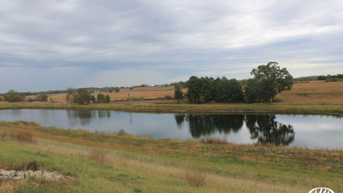 What Makes a Great Duck Hunting Property Whitetail Properties