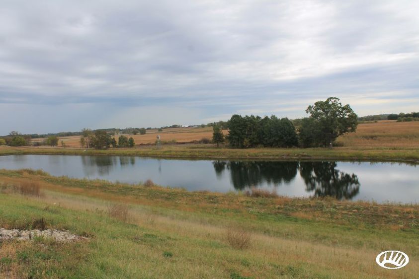 What Makes a Great Duck Hunting Property Whitetail Properties