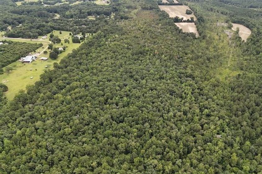 2-72 Acres of Secluded Wooded Retreat and Recreational Value in Cumberland County