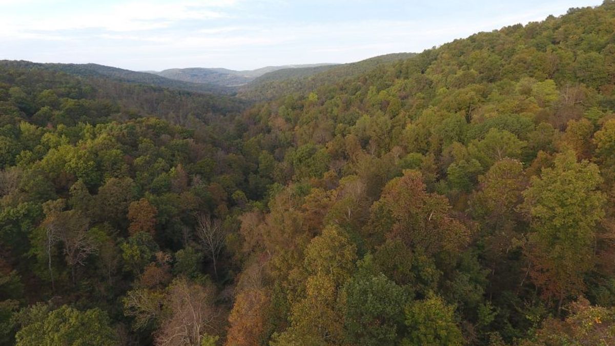 Arkansas Hunting Land Whitetail Properties