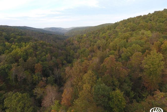 Arkansas Hunting Land