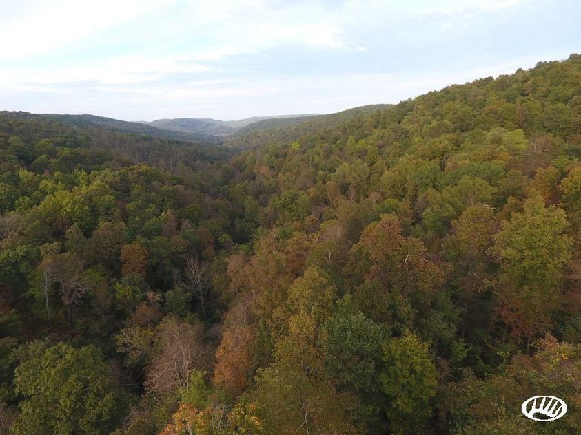 Arkansas Hunting Land