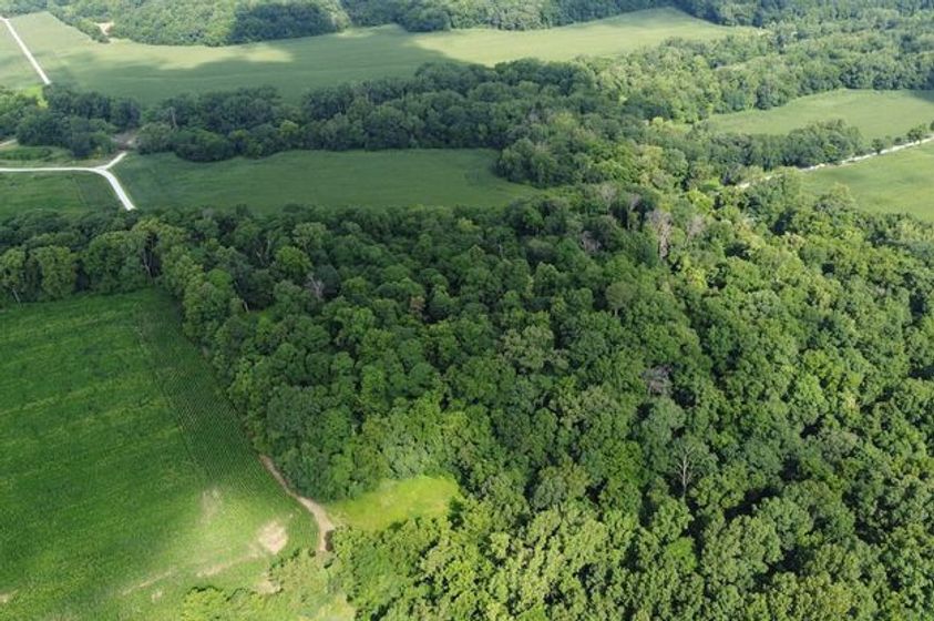 13.Affordable-Illinois-Farm