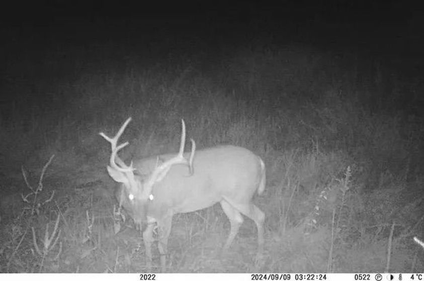 1.Affordable-Illinois-Farm