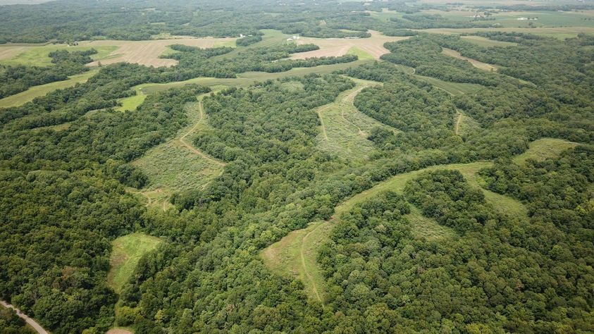 Tree Stands for sale in Hartford City, Indiana