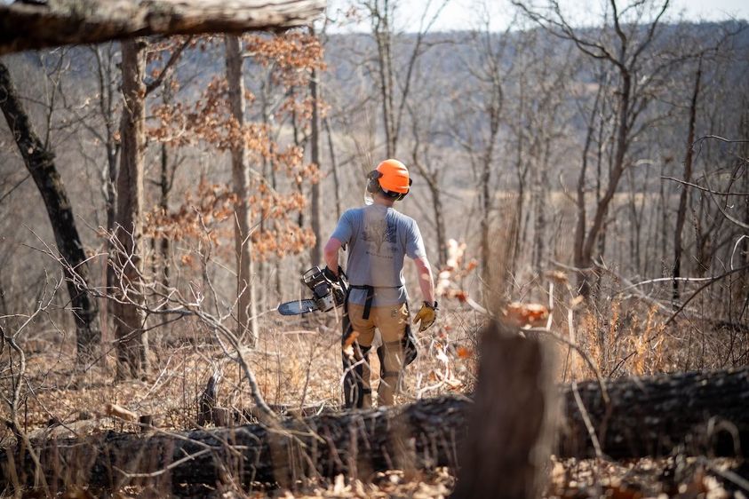 INVASIVE_PLANT_SPECIES_3