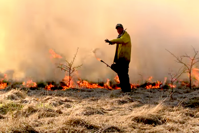 Whitetail Properties controlled burn Dr. Craig Harper