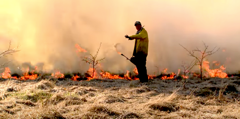 Whitetail Properties controlled burn Dr. Craig Harper