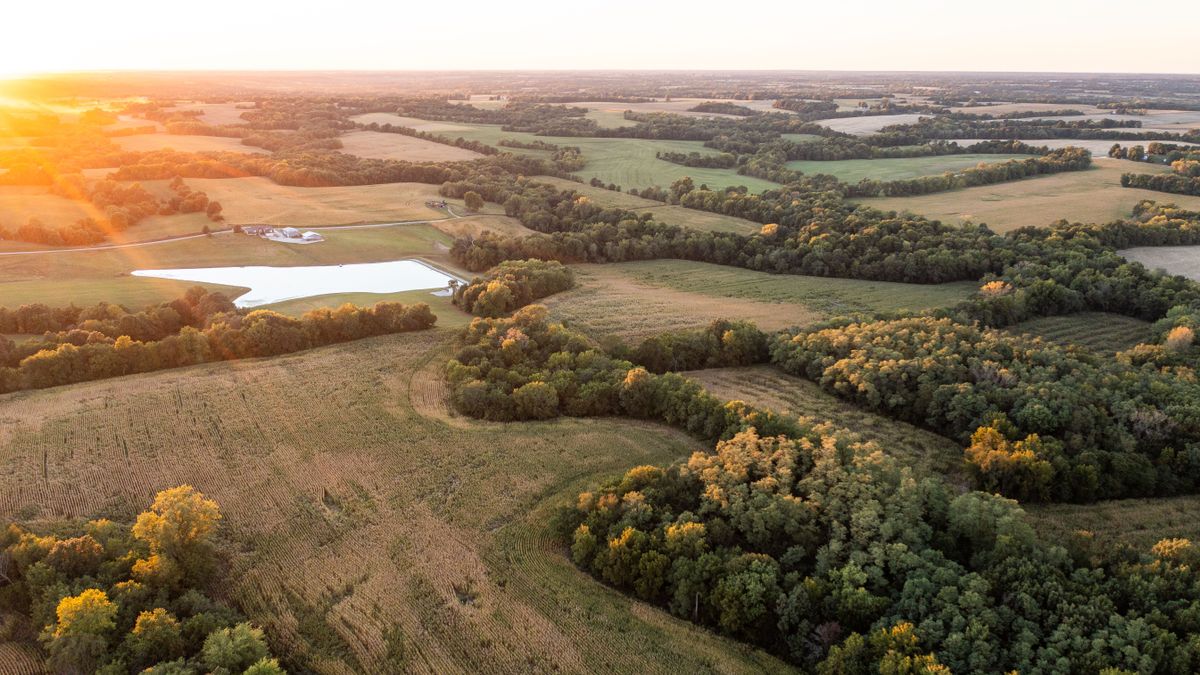 Rising Interest Rates How to think about them and what to do next