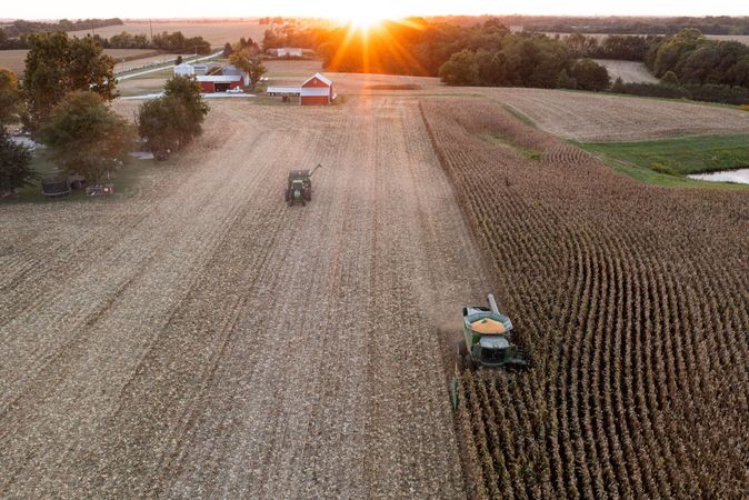 Corn Harvest-4