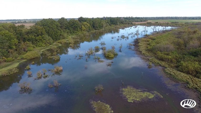 Hunting Retreat with a Pond and Home