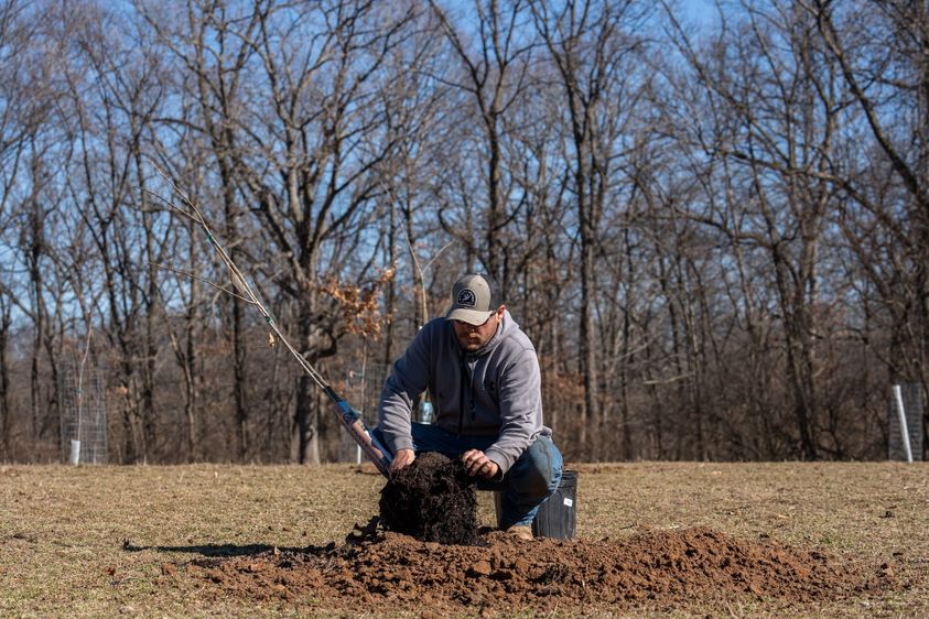 Maximizing Wildlife Food Sources with Strategic Mast Tree Planting-1