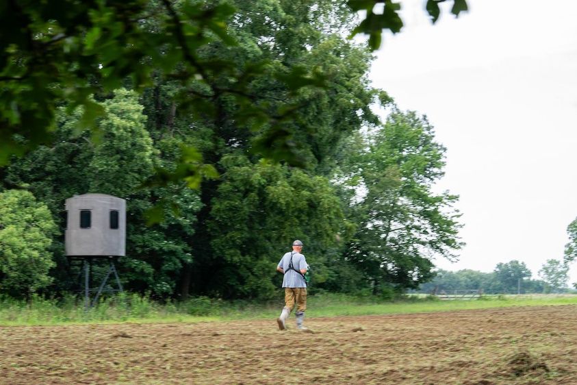 Deer-Food-Plot-Mixes-5