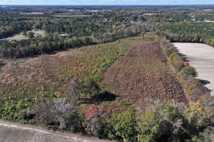 8-28.81 Acres with Privacy, Recreational Opportunities, and Timber Value in Nash County