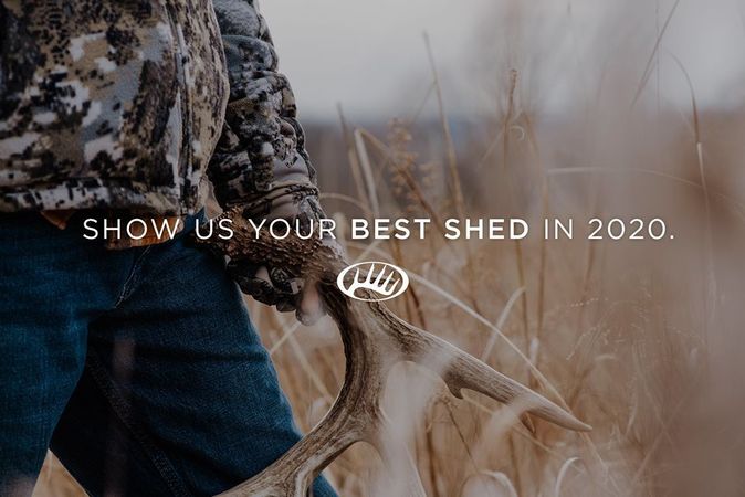 Show us your best deer shed