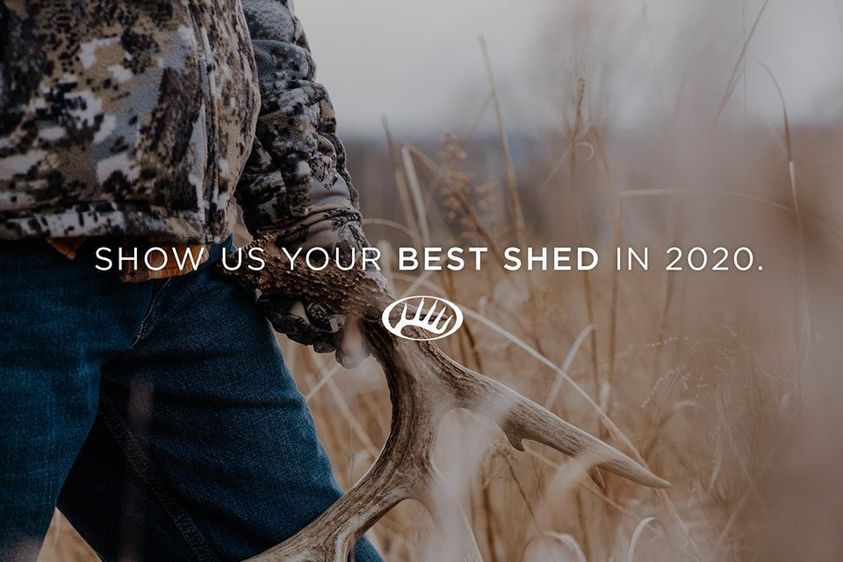 Show us your best deer shed