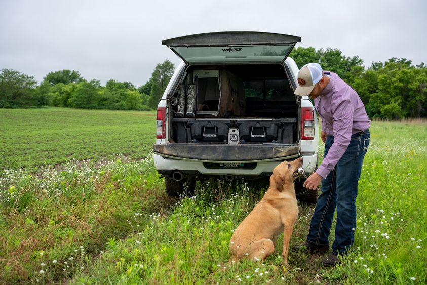 The Best Hunting Dog Breeds Whitetail Properties