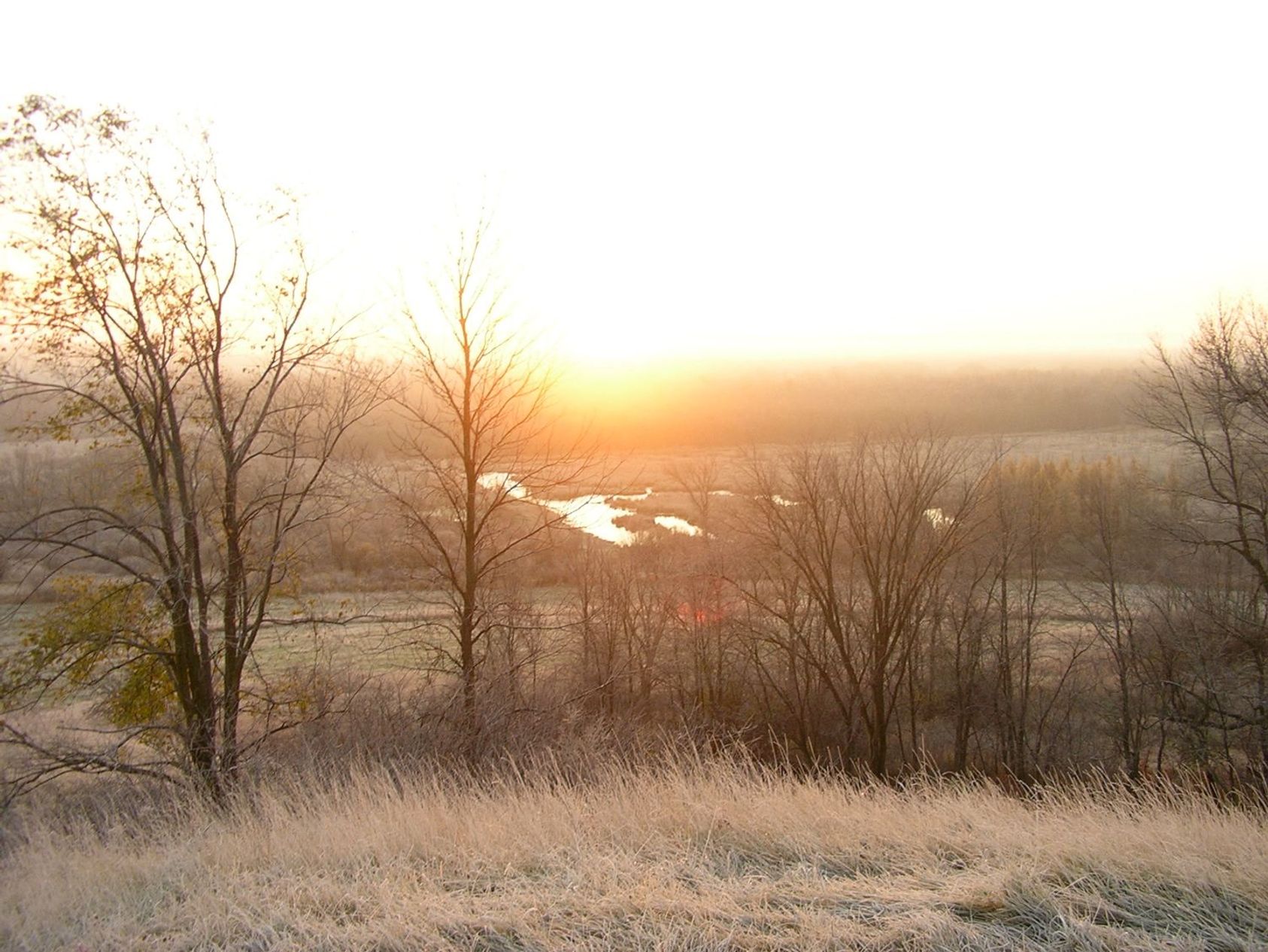 How Hunting Land Leases Work